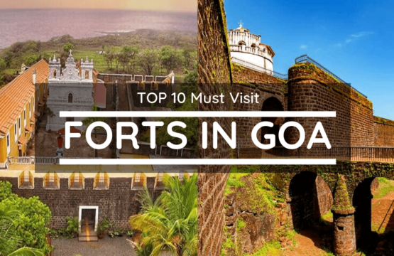 Top 10 Forts in Goa One Must Visit
