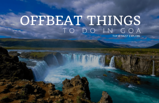 Top 10 Offbeat Things To Do In Goa